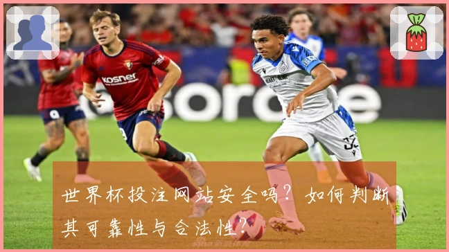 世界杯投注网站安全吗？如何判断其可靠性与合法性？