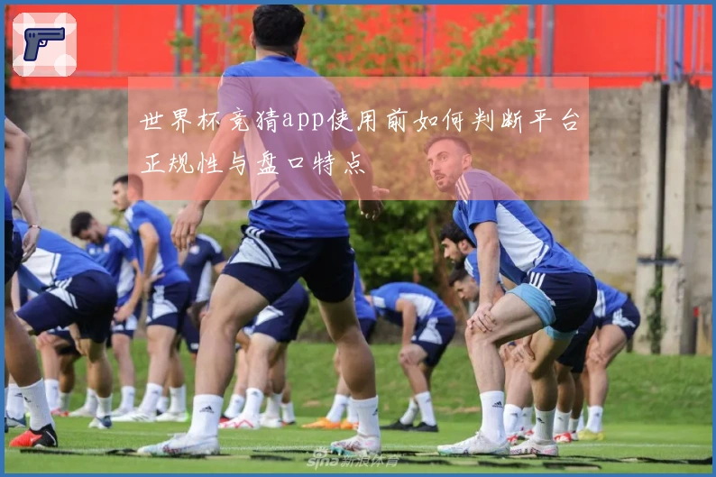 世界杯竞猜app使用前如何判断平台正规性与盘口特点