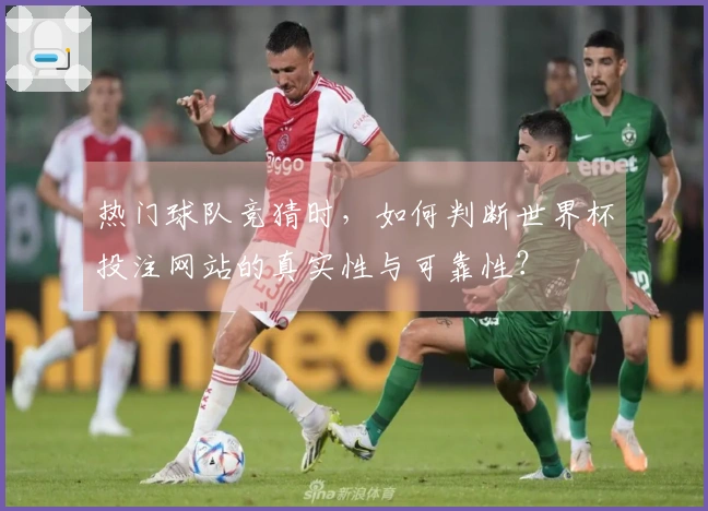 热门球队竞猜时，如何判断世界杯投注网站的真实性与可靠性？