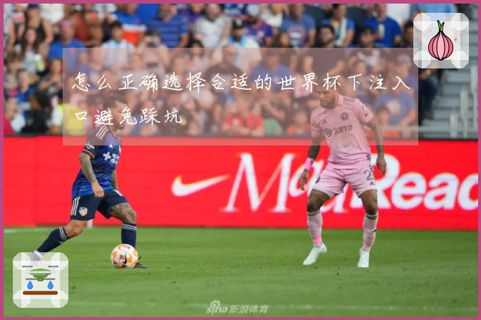 怎么正确选择合适的世界杯下注入口避免踩坑