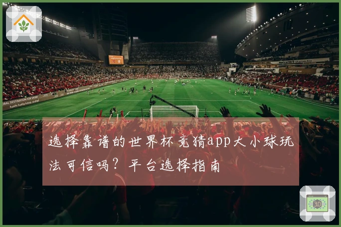 选择靠谱的世界杯竞猜app大小球玩法可信吗？平台选择指南