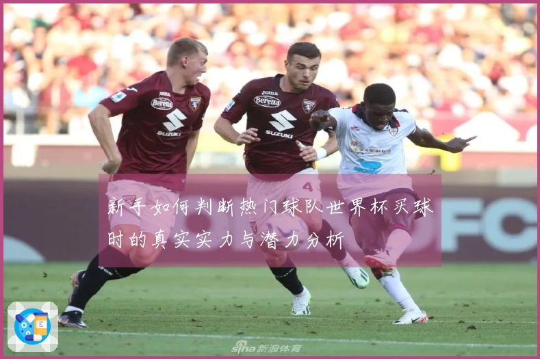 新手如何判断热门球队世界杯买球时的真实实力与潜力分析