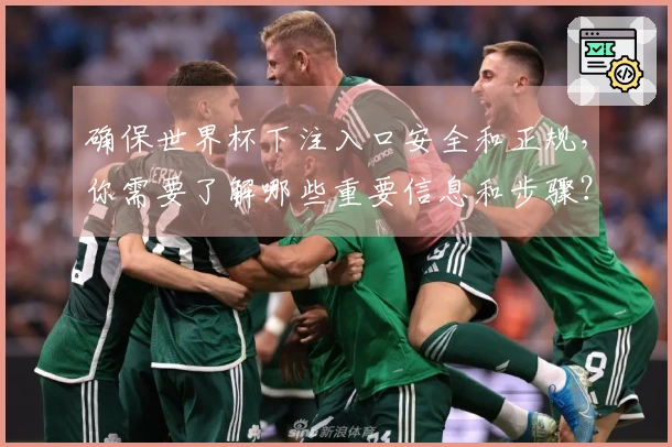 确保世界杯下注入口安全和正规，你需要了解哪些重要信息和步骤？
