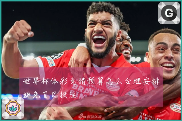 世界杯体彩竞猜预算怎么合理安排避免盲目投注