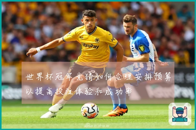 世界杯冠军竞猜如何合理安排预算以提高投注体验和成功率