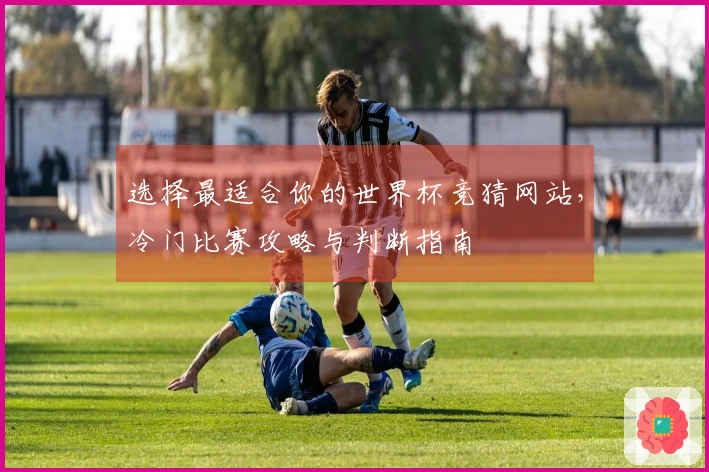 选择最适合你的世界杯竞猜网站，冷门比赛攻略与判断指南