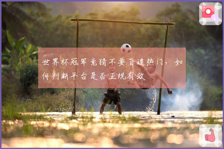 世界杯冠军竞猜不要盲追热门，如何判断平台是否正规有效