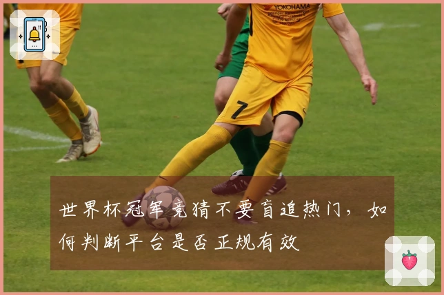 世界杯冠军竞猜不要盲追热门，如何判断平台是否正规有效