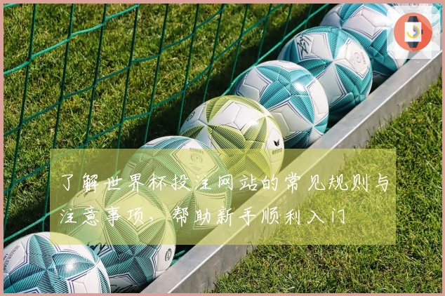 了解世界杯投注网站的常见规则与注意事项，帮助新手顺利入门