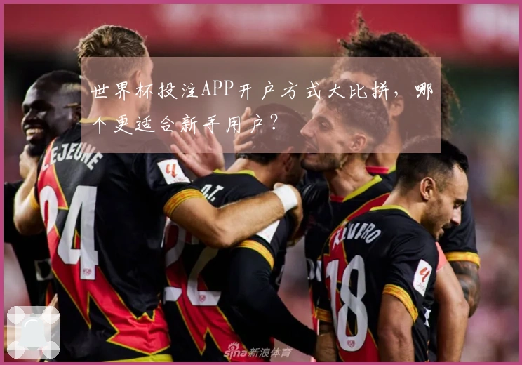 世界杯投注APP开户方式大比拼，哪个更适合新手用户？