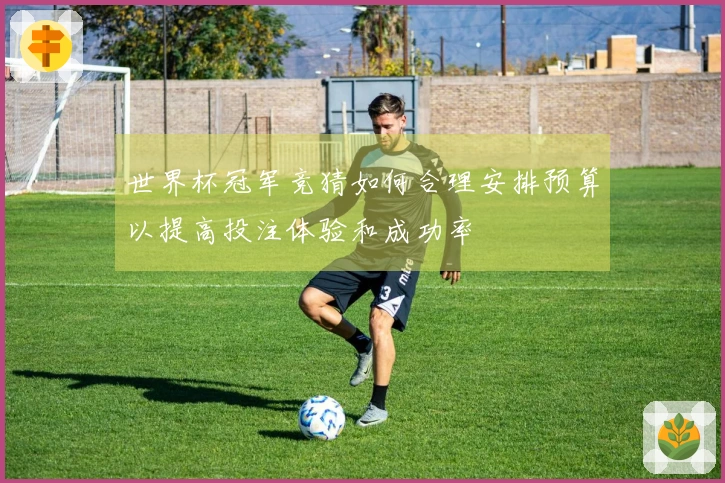 世界杯冠军竞猜如何合理安排预算以提高投注体验和成功率