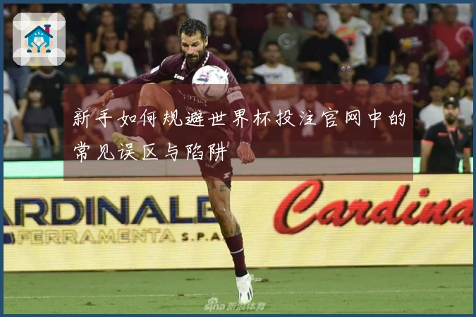 新手如何规避世界杯投注官网中的常见误区与陷阱
