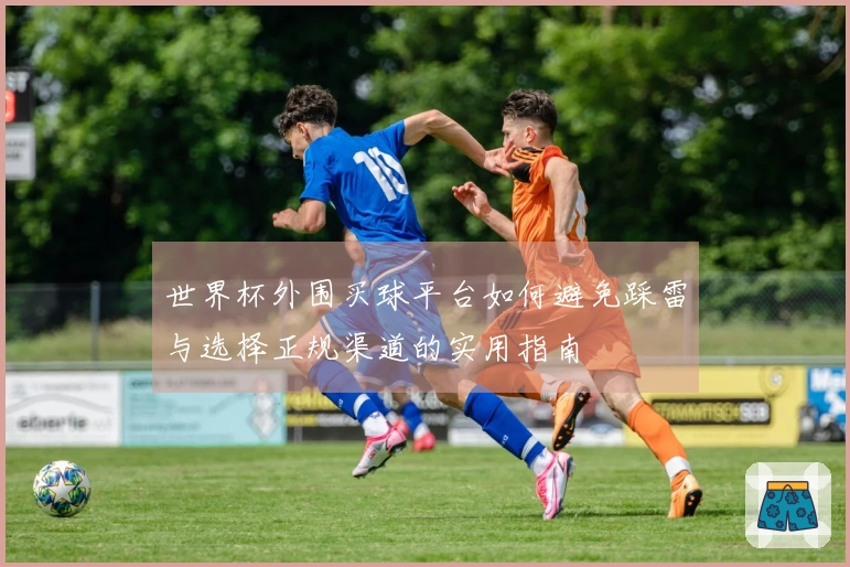 世界杯外围买球平台如何避免踩雷与选择正规渠道的实用指南