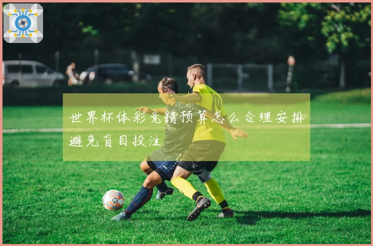 世界杯体彩竞猜预算怎么合理安排避免盲目投注