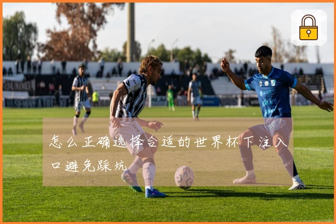 怎么正确选择合适的世界杯下注入口避免踩坑