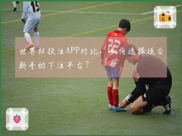 世界杯投注APP对比，如何选择适合新手的下注平台？