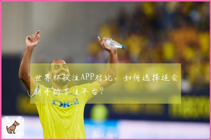 世界杯投注APP对比，如何选择适合新手的下注平台？