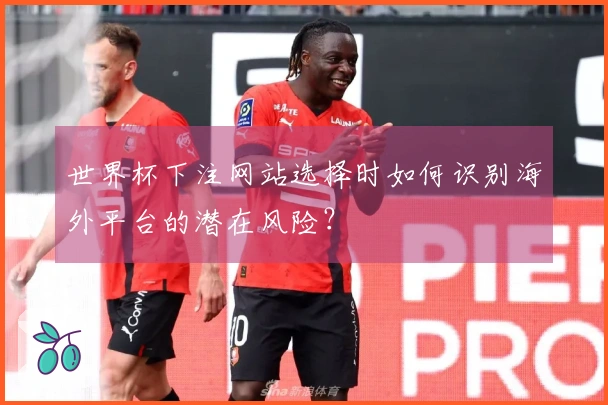 世界杯下注网站选择时如何识别海外平台的潜在风险？