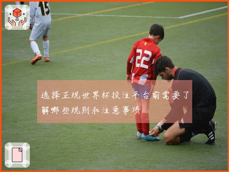 选择正规世界杯投注平台前需要了解哪些规则和注意事项