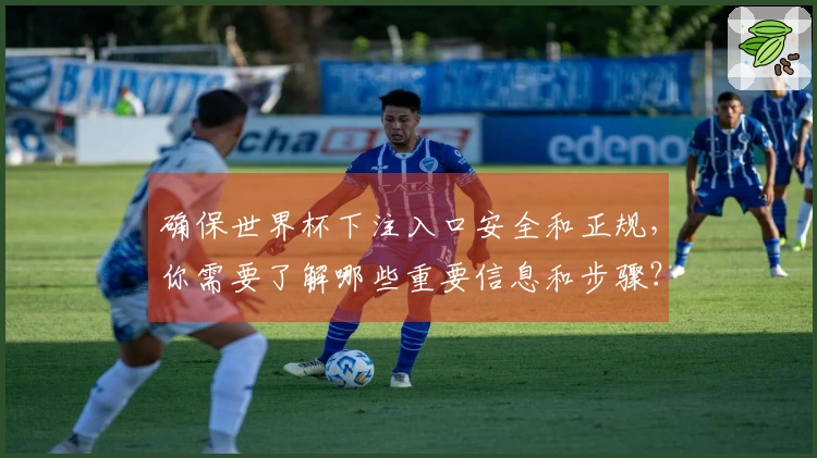 确保世界杯下注入口安全和正规，你需要了解哪些重要信息和步骤？
