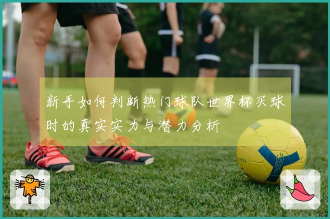 新手如何判断热门球队世界杯买球时的真实实力与潜力分析