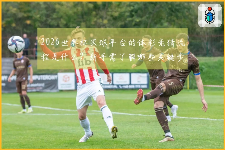 2026世界杯买球平台的体彩竞猜流程是什么？新手需了解哪些关键步骤？