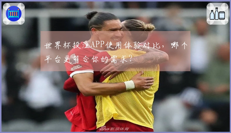 世界杯投注APP使用体验对比，哪个平台更符合你的需求？