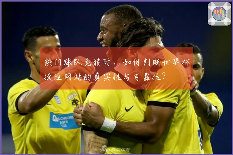 热门球队竞猜时，如何判断世界杯投注网站的真实性与可靠性？
