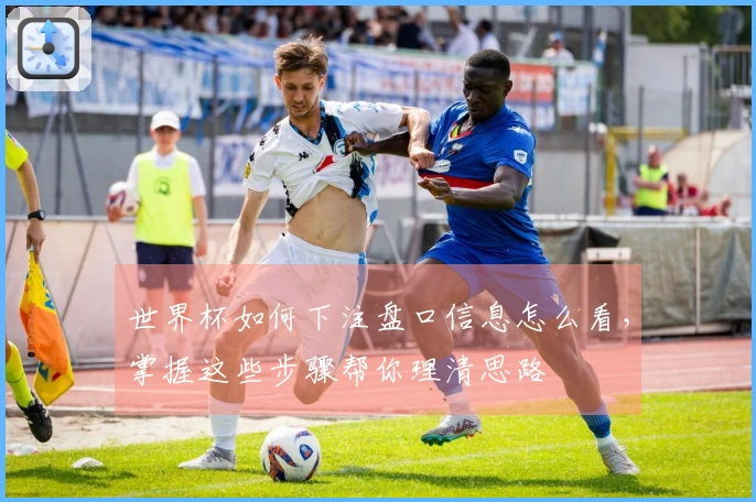 世界杯如何下注盘口信息怎么看，掌握这些步骤帮你理清思路