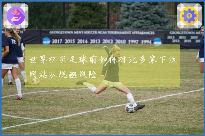 世界杯买足球前如何对比多家下注网站以规避风险