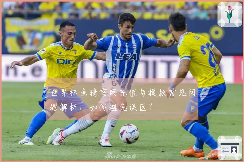 世界杯竞猜官网充值与提款常见问题解析，如何避免误区？