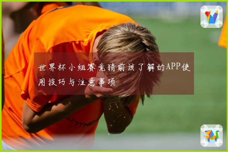 世界杯小组赛竞猜前该了解的APP使用技巧与注意事项